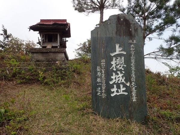 イメージ 8