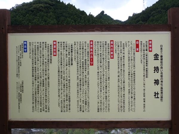 イメージ 7