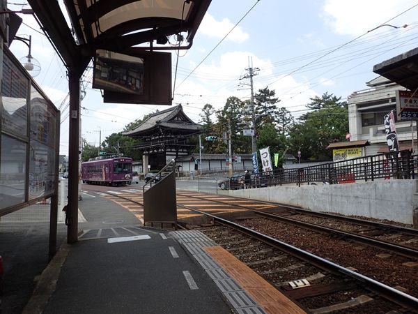 イメージ 6