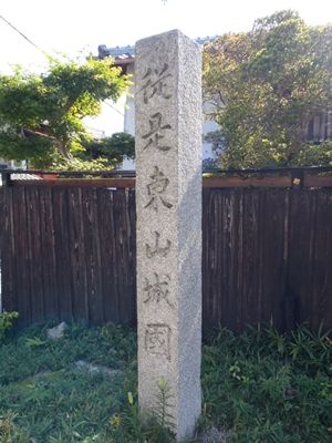 イメージ 6
