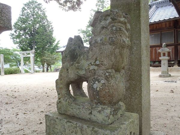 イメージ 3