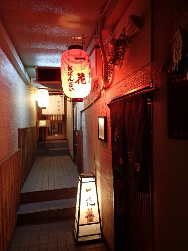 一花 夜の先斗町 京都逍遥9 Yamatetsu物語 一花 夜の先斗町 京都逍遥9 Yamatetsu物語