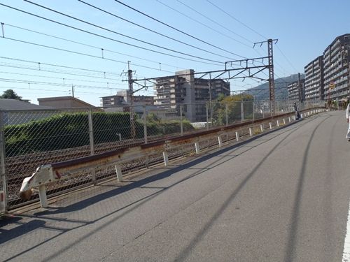 イメージ 5