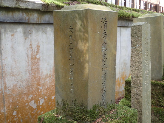 P5030554