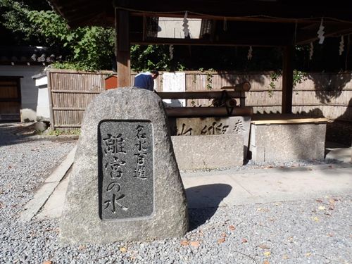 イメージ 8
