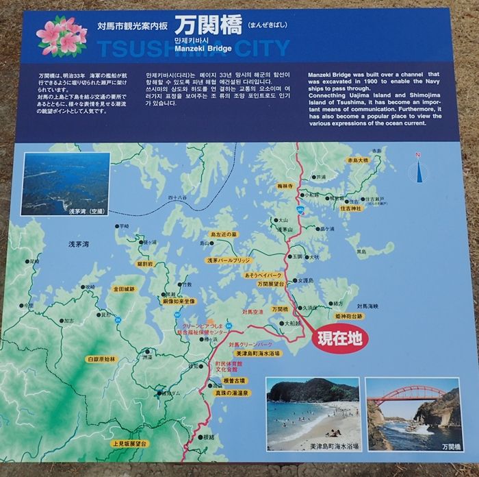 イメージ 6
