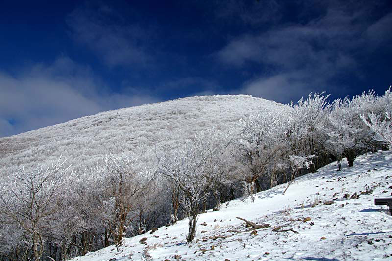 高見山の樹氷 2011年3月5日 土 山とカメラと二人旅 高見山の樹氷 2011年3月5日 土 山とカメラと二人旅