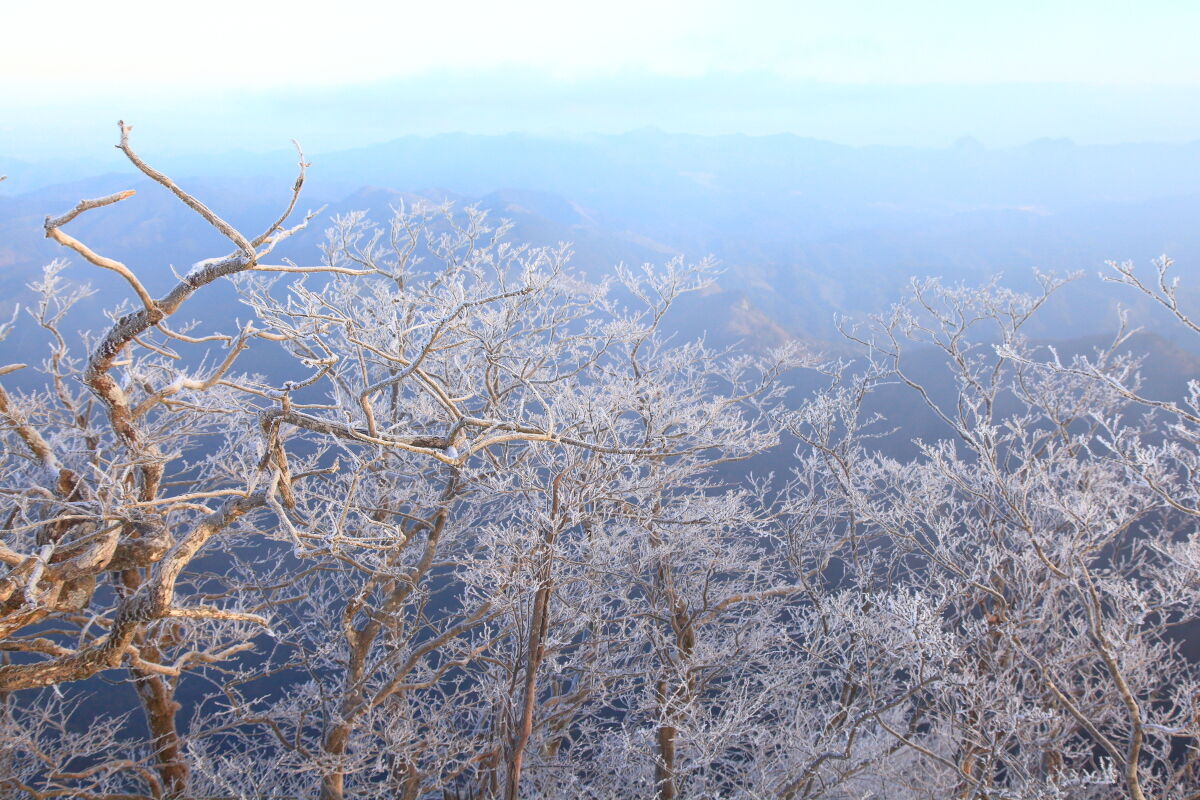 霧氷の高見山 1249m 登山 21年2月5日 金 山とカメラと二人旅 霧氷の高見山 1249m 登山 21年2月5日 金 山とカメラと二人旅