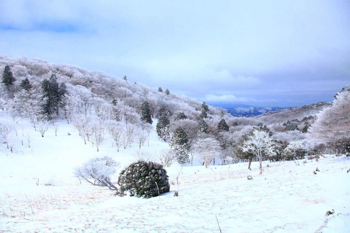 霧氷の三峰山 1235 4m 登山 21年2月19日 金 山とカメラと二人旅 霧氷の三峰山 1235 4m 登山 21年2月19日 金 山とカメラと二人旅