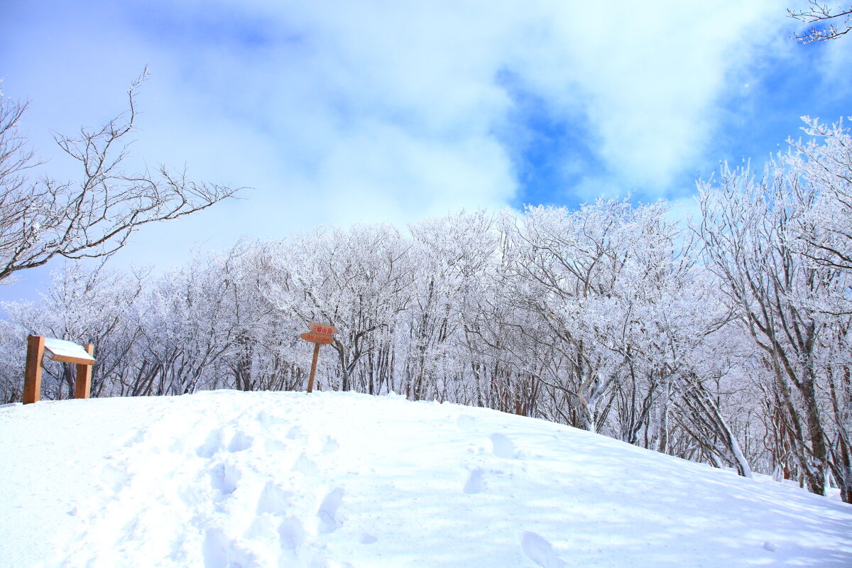霧氷の三峰山 1235 4m 登山 21年2月19日 金 山とカメラと二人旅 霧氷の三峰山 1235 4m 登山 21年2月19日 金 山とカメラと二人旅