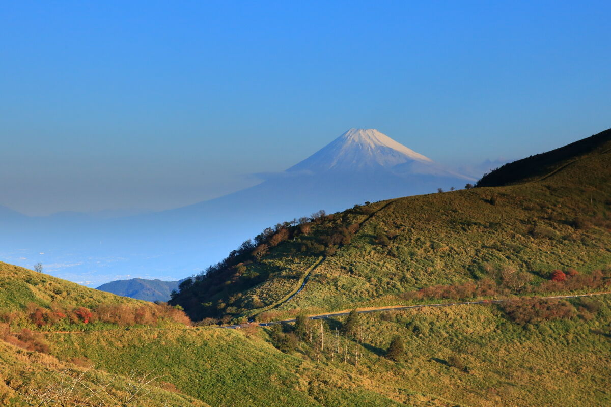 秋の伊豆半島の旅 西伊豆スカイライン 西天城高原までドライブ 21年11月5日 金 山とカメラと二人旅