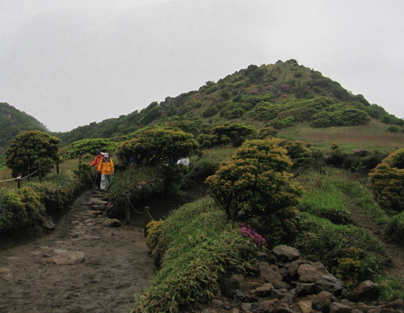 九州の旅 : 山とカメラと二人旅