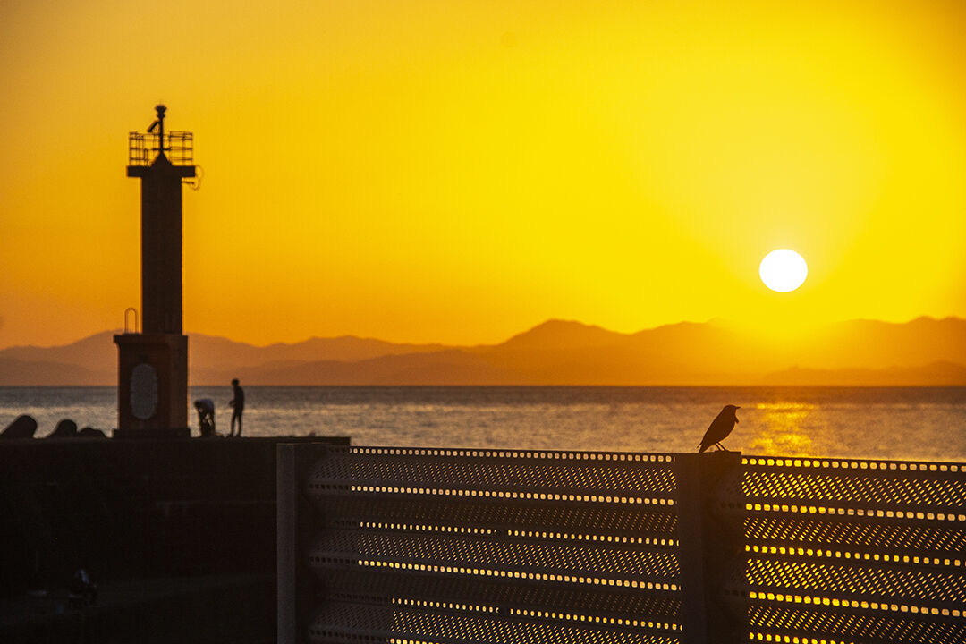 夕暮れの海 土佐のいごっそう やまとおのこ 夕暮れの海 土佐のいごっそう やまとおのこ