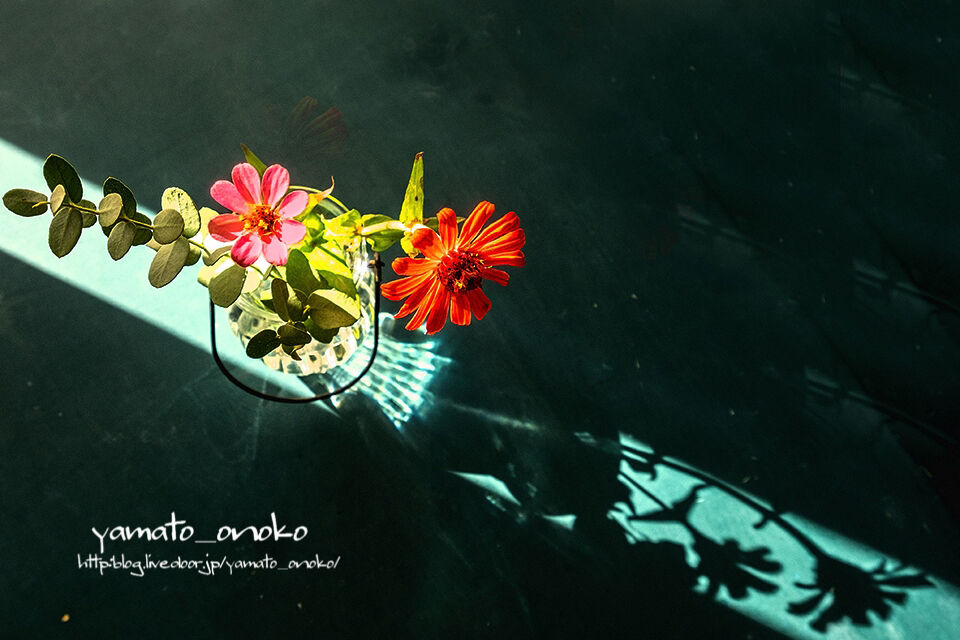 1109-ī��������2