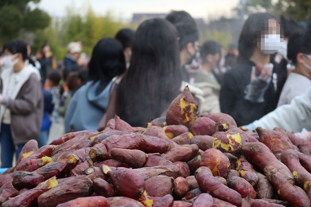 ギネス世界記録挑戦は大和のハカリと共に！～大量の焼き芋をはかる～