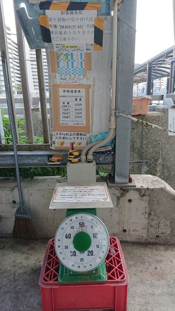 ジェノバライン