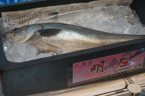 DSC00819