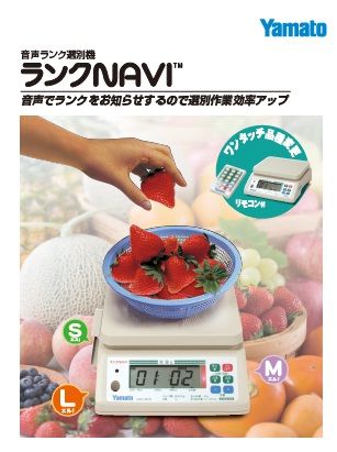 無題6