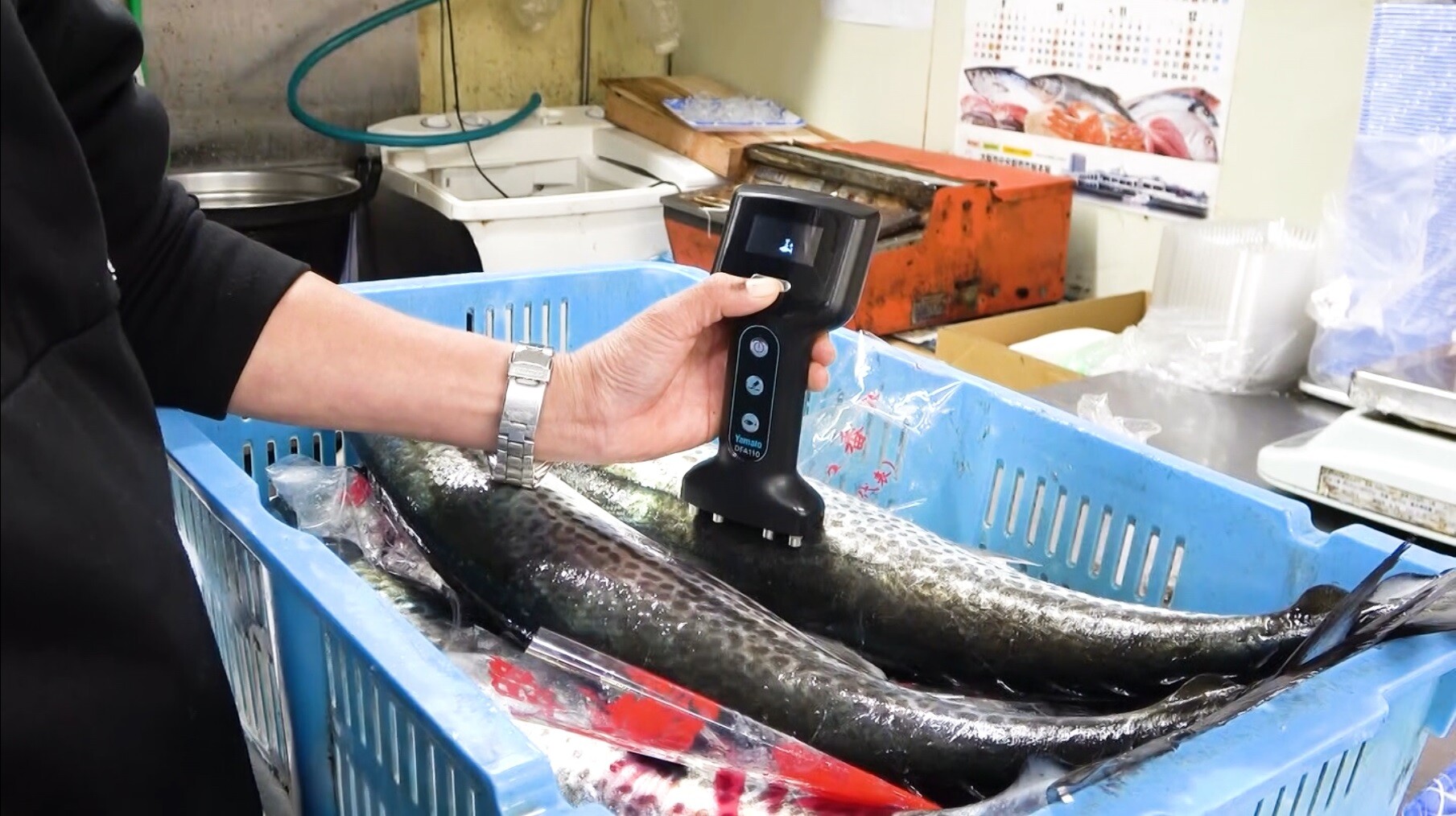 納入事例 fish analyzer を使ったスーパーの取り組み yamato official blog