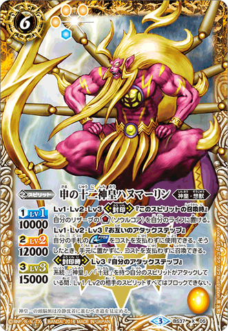 card_y01