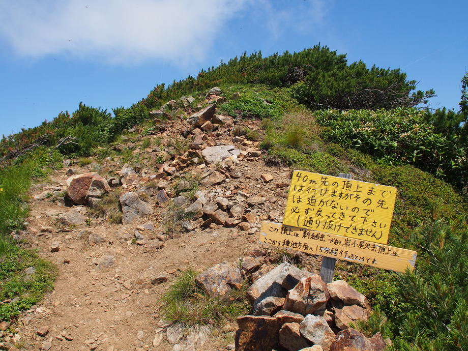 P8041334
