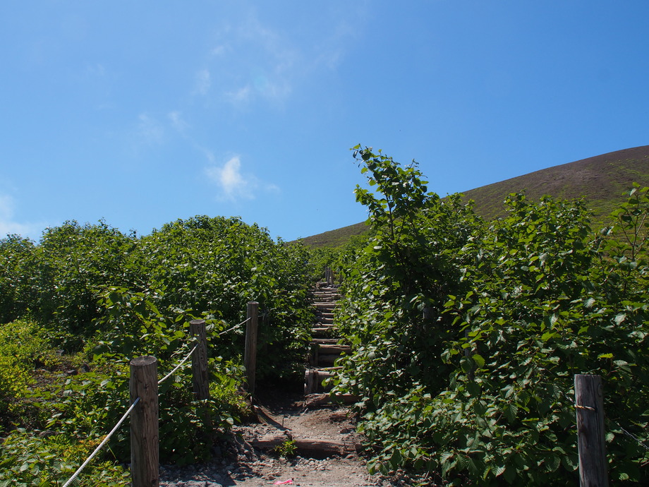 P6142627