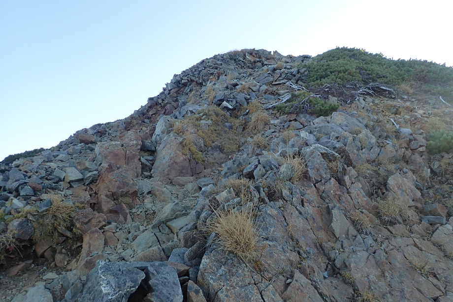 PA100217