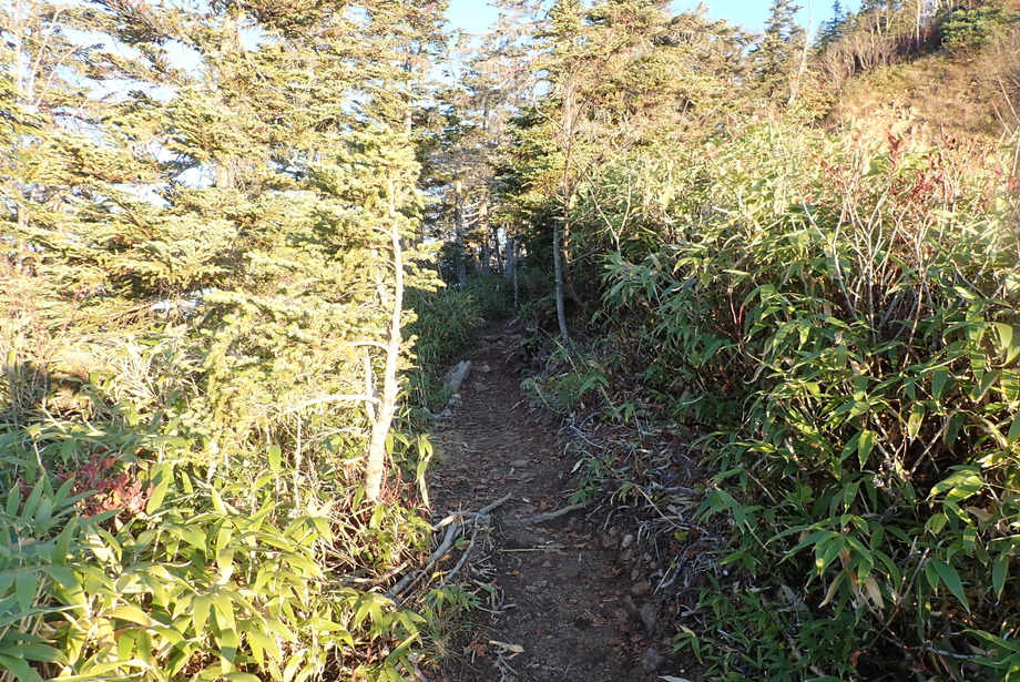 PA100198