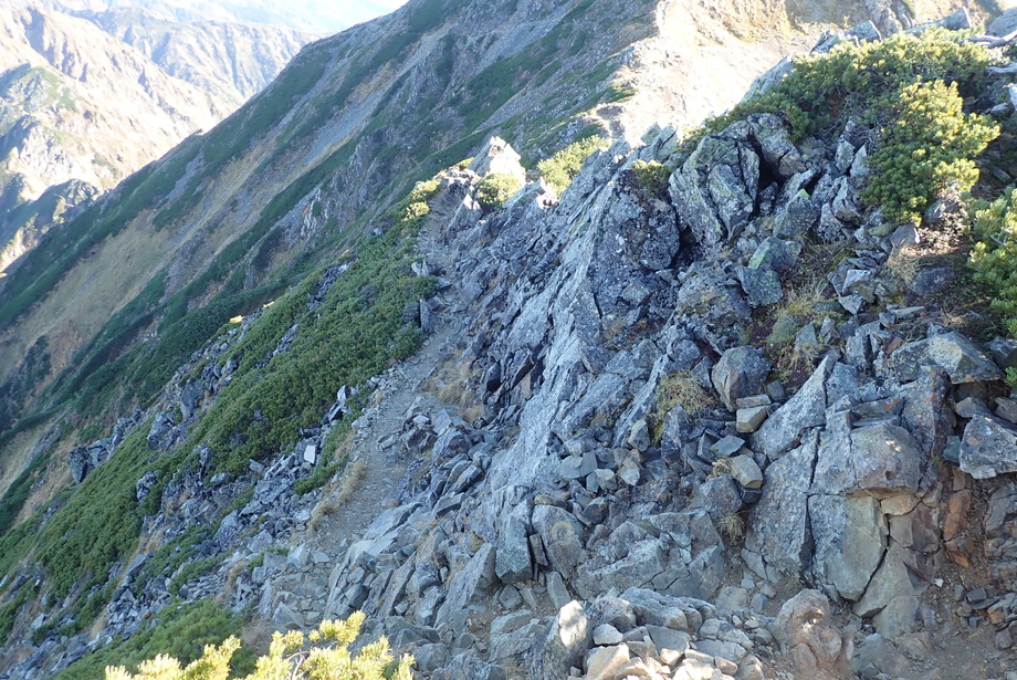 PA100253
