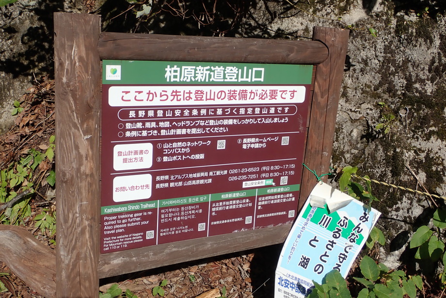 PA100333