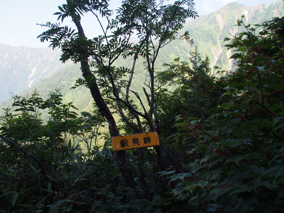P8041218