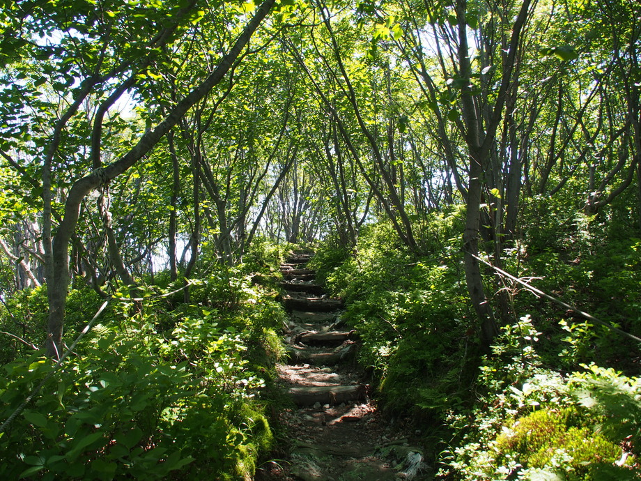 P6142621