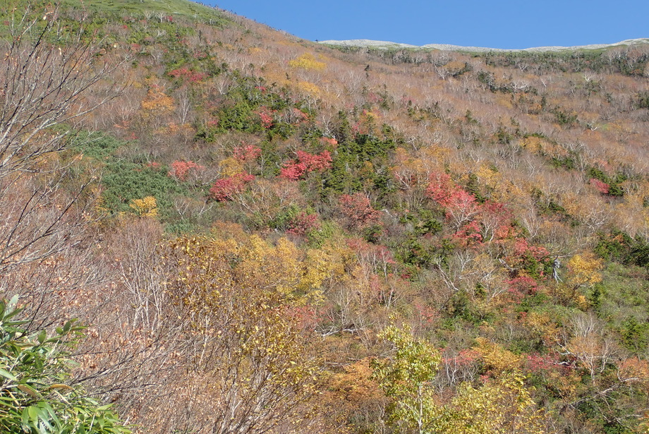 PA100328