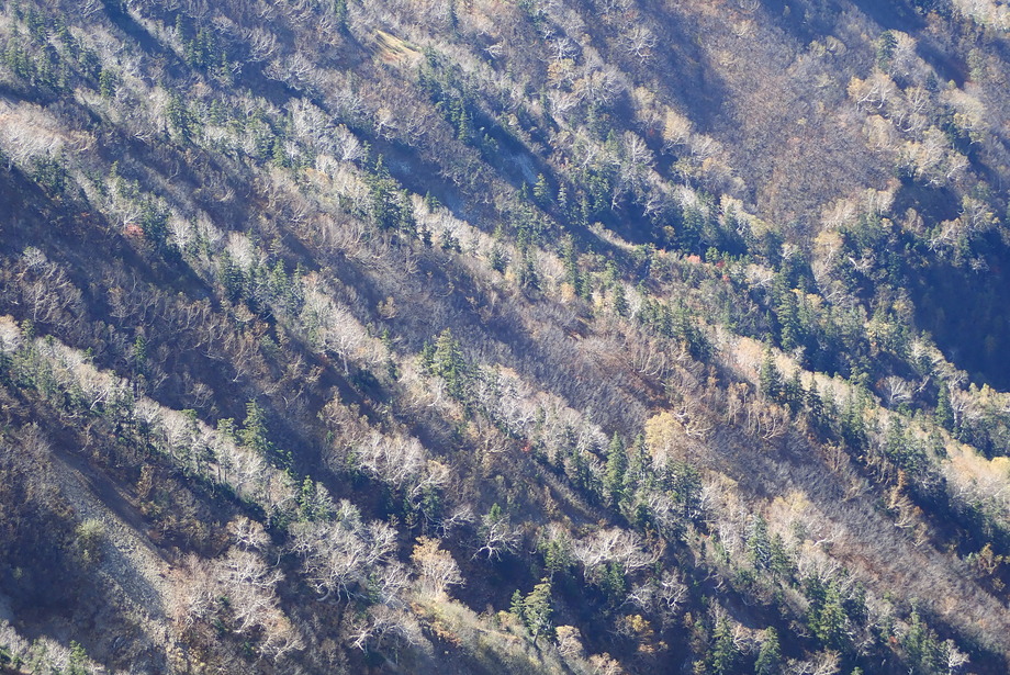 PA090157