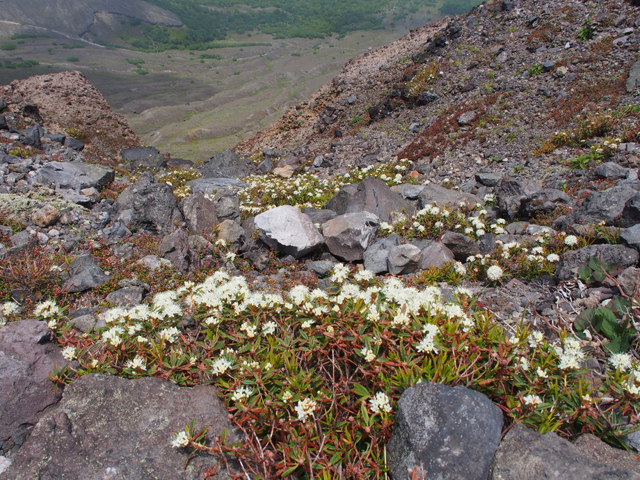 P6142647