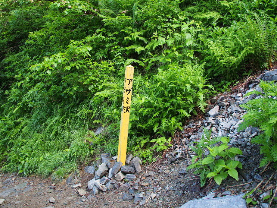 P8041228