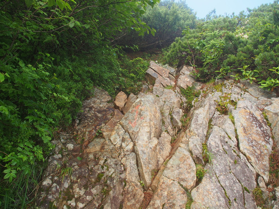 P8051366