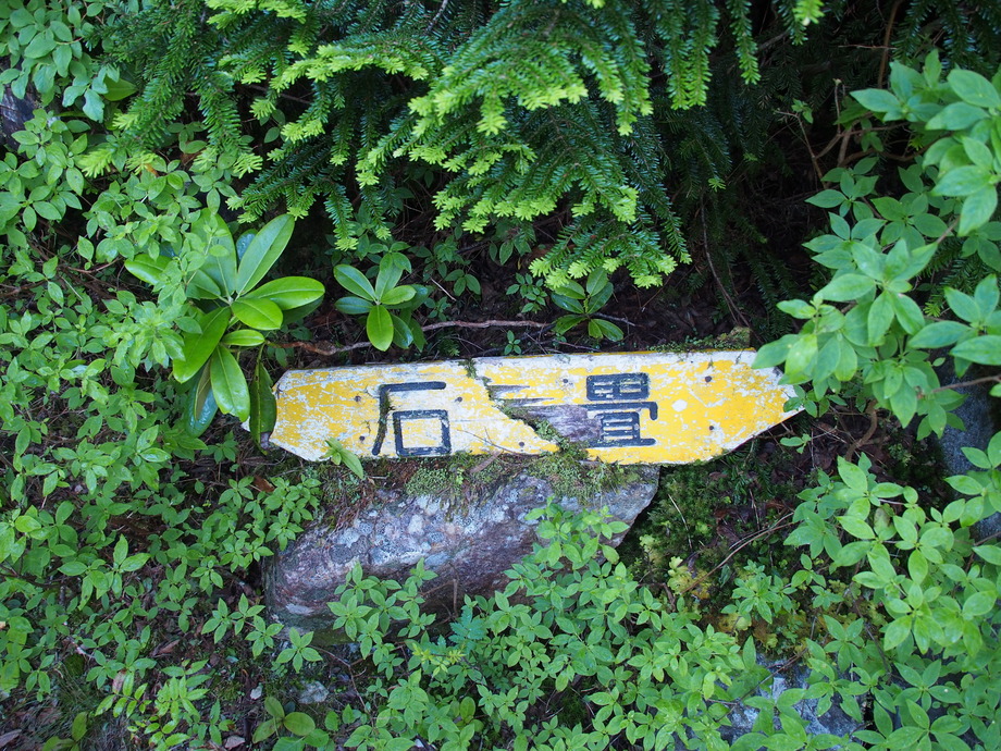 P8041220