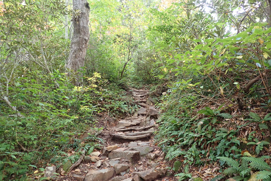 PA090086
