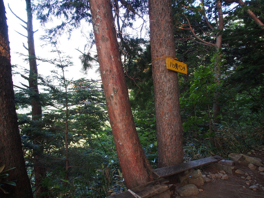 P8041203