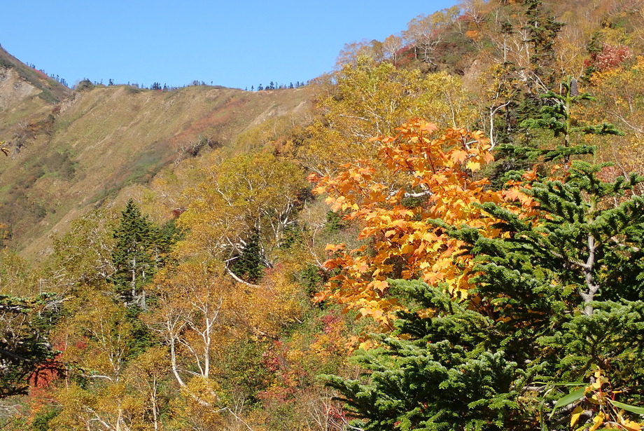 PA090101