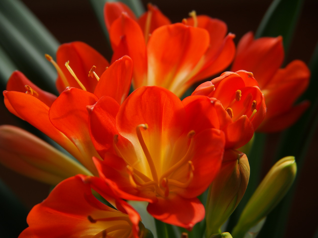 中島みゆき 宙船 半端ない凄さ 北の山歩き