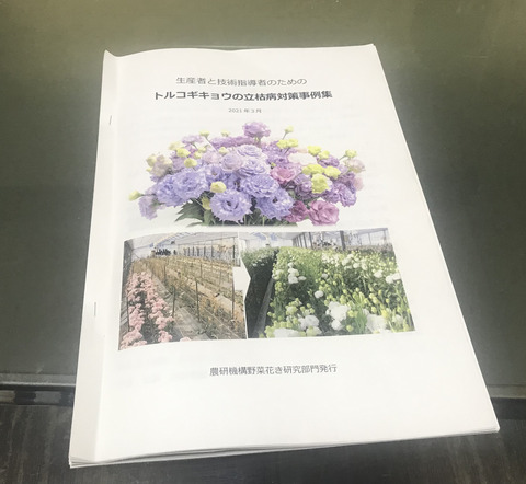 Hanablog Net 花ブログ ようこそ 花の仲間たち Hanablog Net 花ブログ ようこそ 花の仲間たち