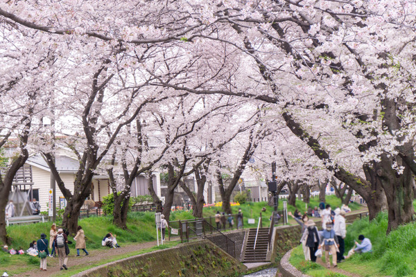 名称未設定-2303291-10