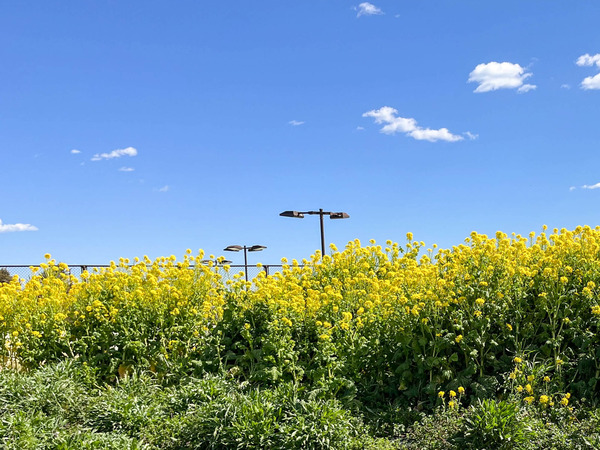 名称未設定-2403151-6