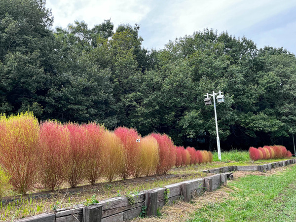 名称未設定-2510041