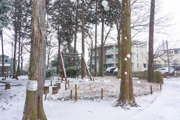 雪-2302105