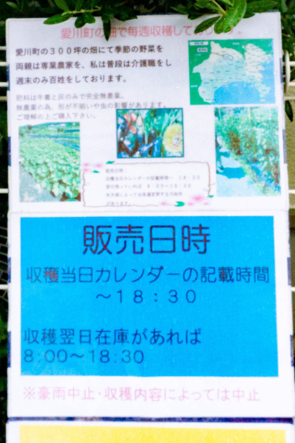 ラグレーヌ-2209022
