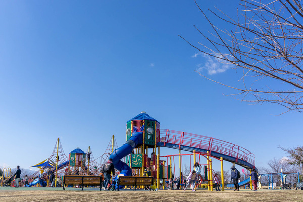 モヤさま-2202119