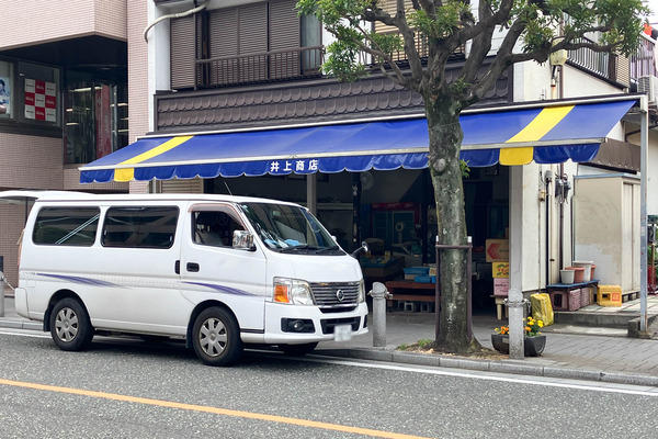 井上商店-2605283